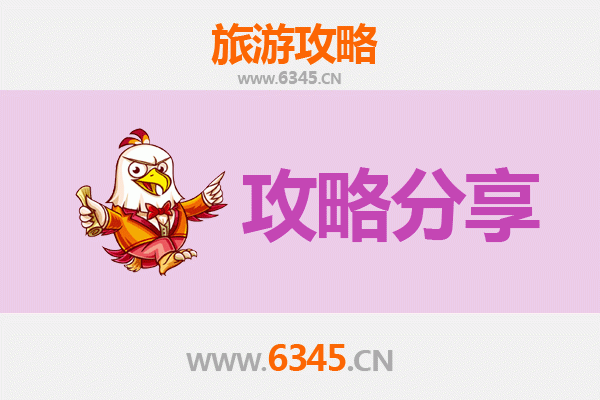 普洱镇沅旅游攻略：跟团与自由行深度对比