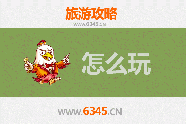 普洱镇沅假日游玩全攻略：茶香秘境与自然奇观之旅